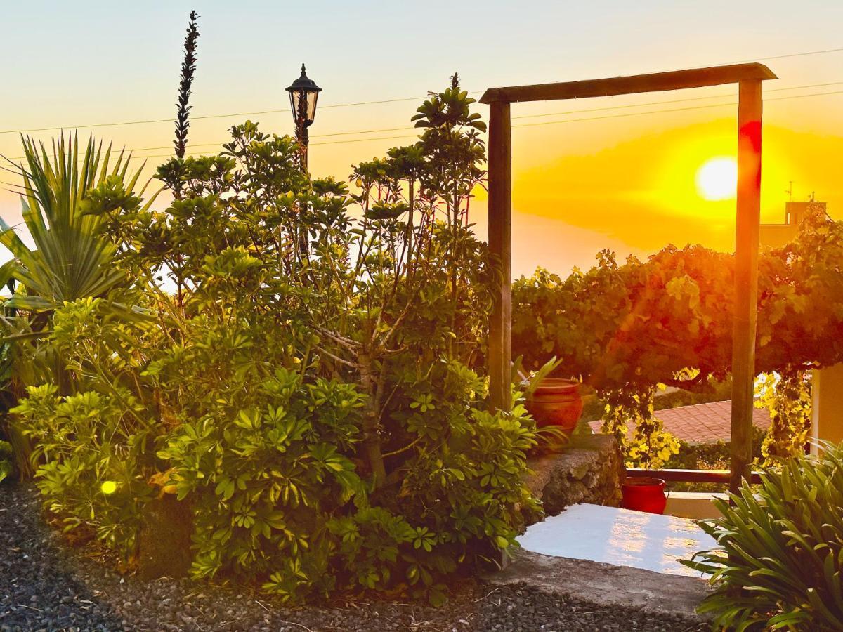Bungalow Los Laureles 埃尔帕索 外观 照片