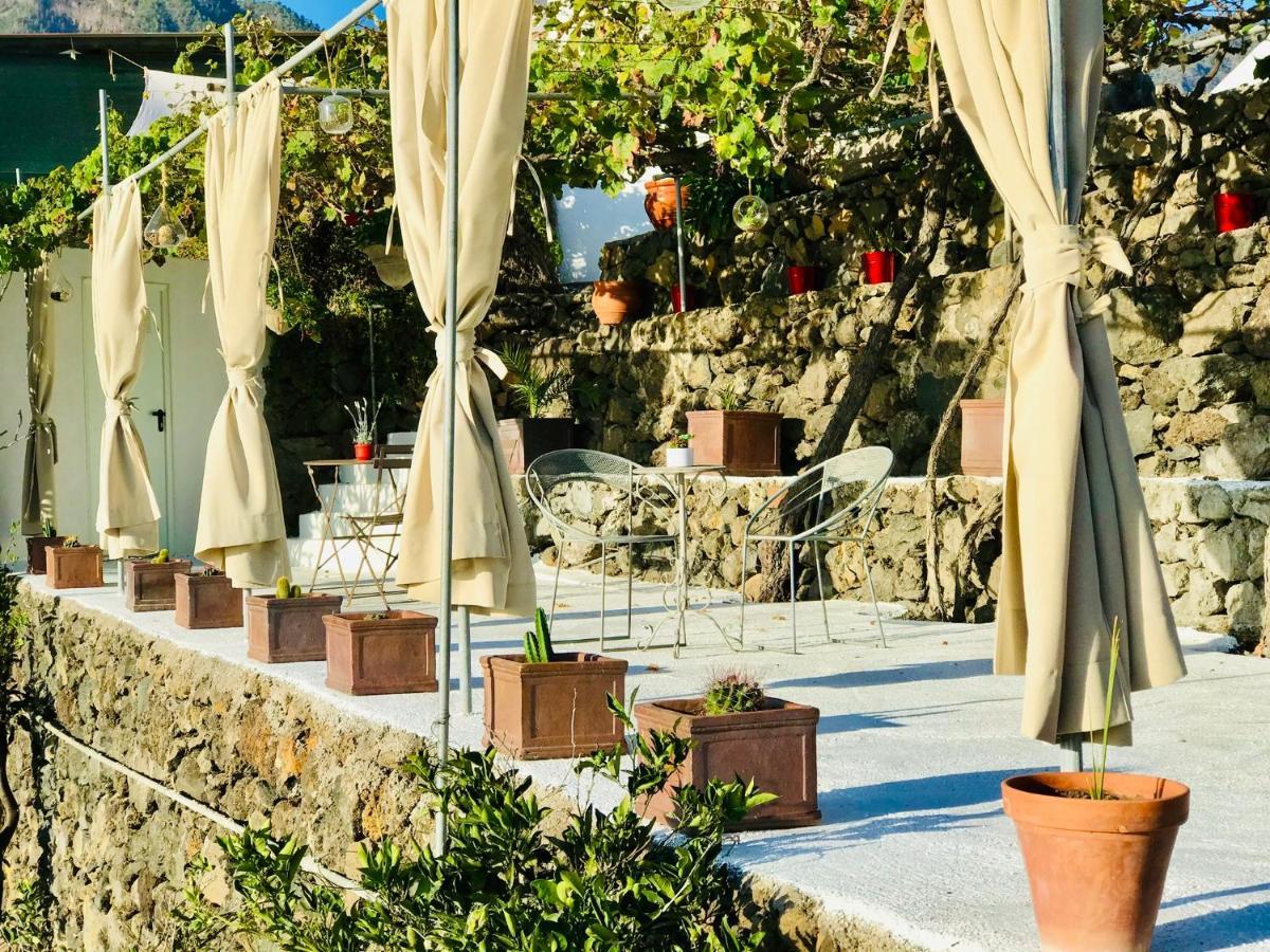 Bungalow Los Laureles 埃尔帕索 外观 照片
