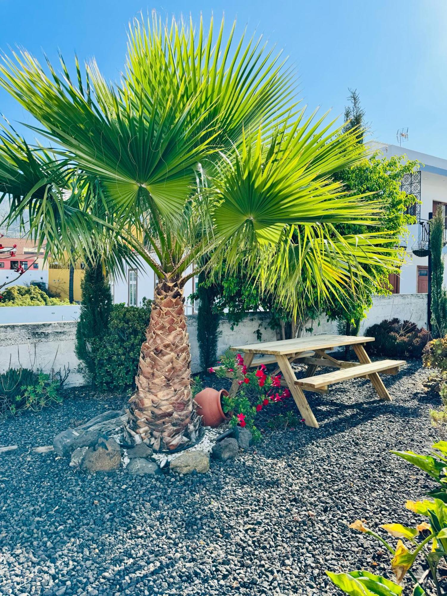 Bungalow Los Laureles 埃尔帕索 外观 照片