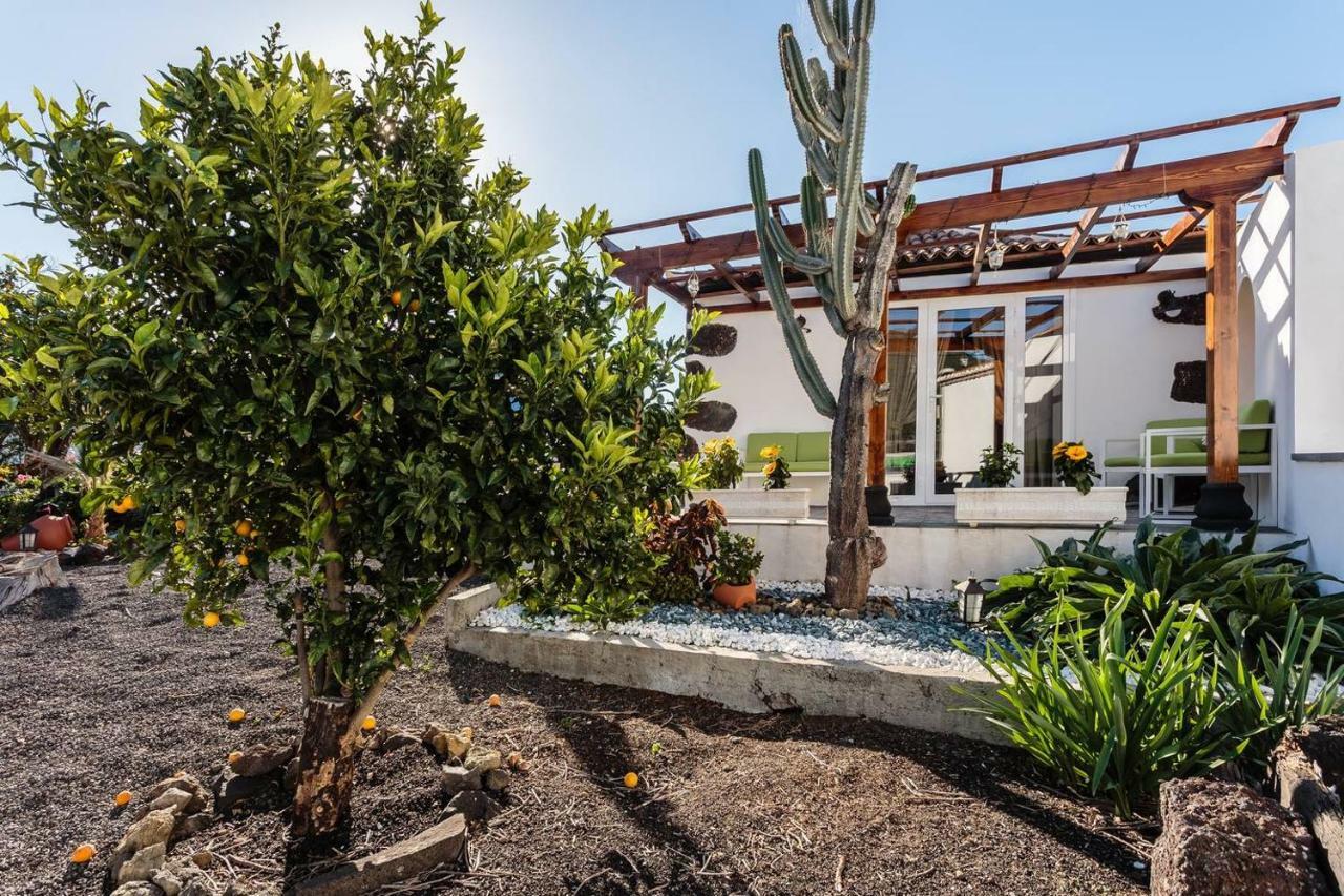 Bungalow Los Laureles 埃尔帕索 外观 照片