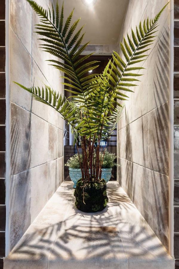 Bungalow Los Laureles 埃尔帕索 外观 照片